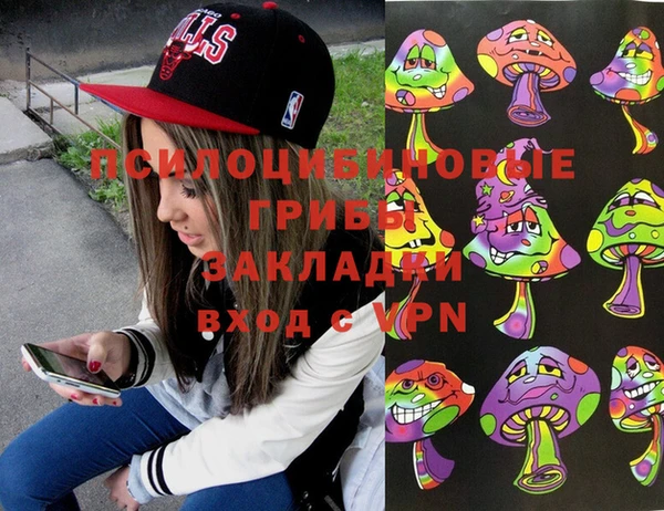 хмурый Снежинск
