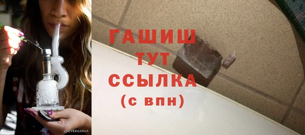гидра Снежногорск