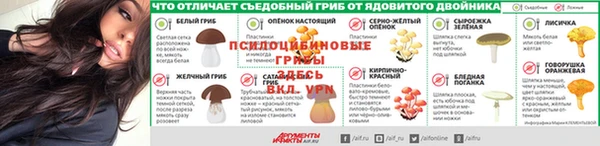 а пвп мука Абаза