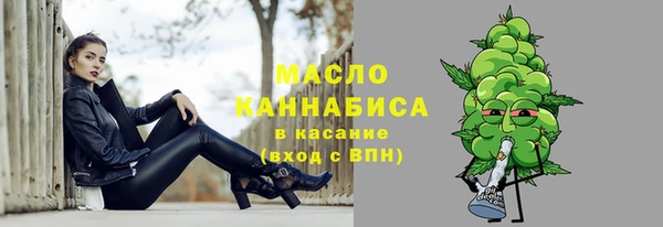 гидра Снежногорск