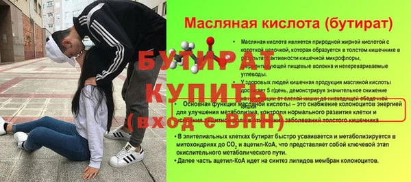 гидра Снежногорск