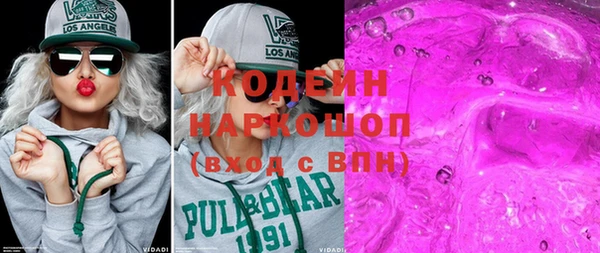 гидра Снежногорск
