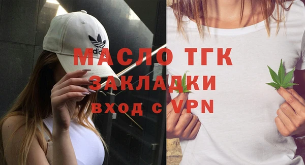 крисы Слюдянка
